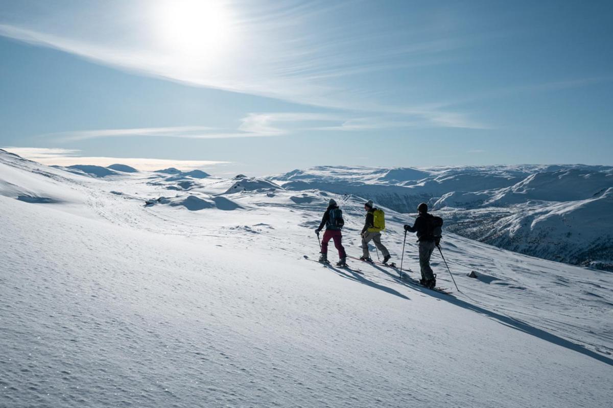 Harahorn Fjellgard Hotel Grondalen  Bagian luar foto