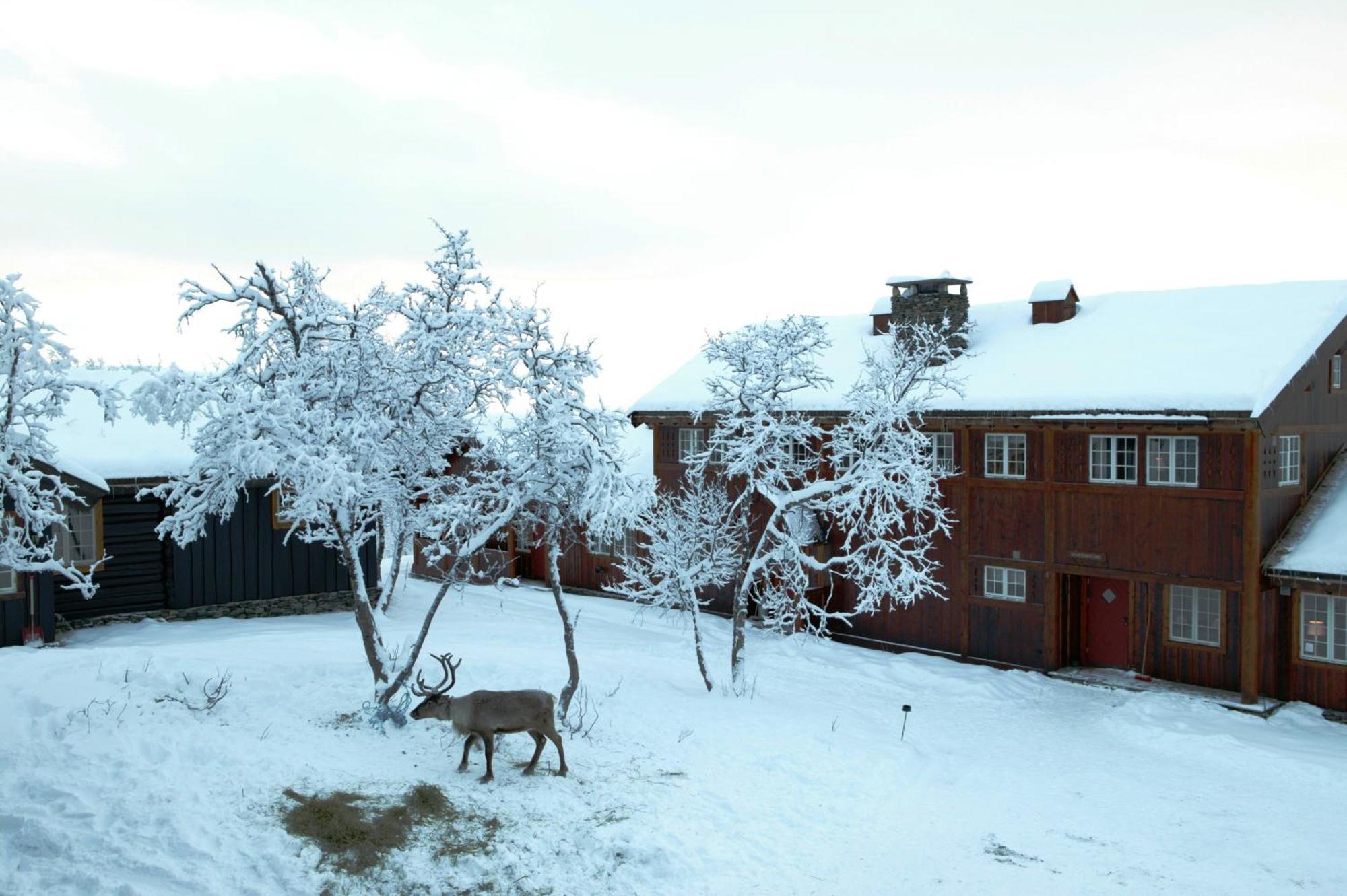 Harahorn Fjellgard Hotel Grondalen  Bagian luar foto