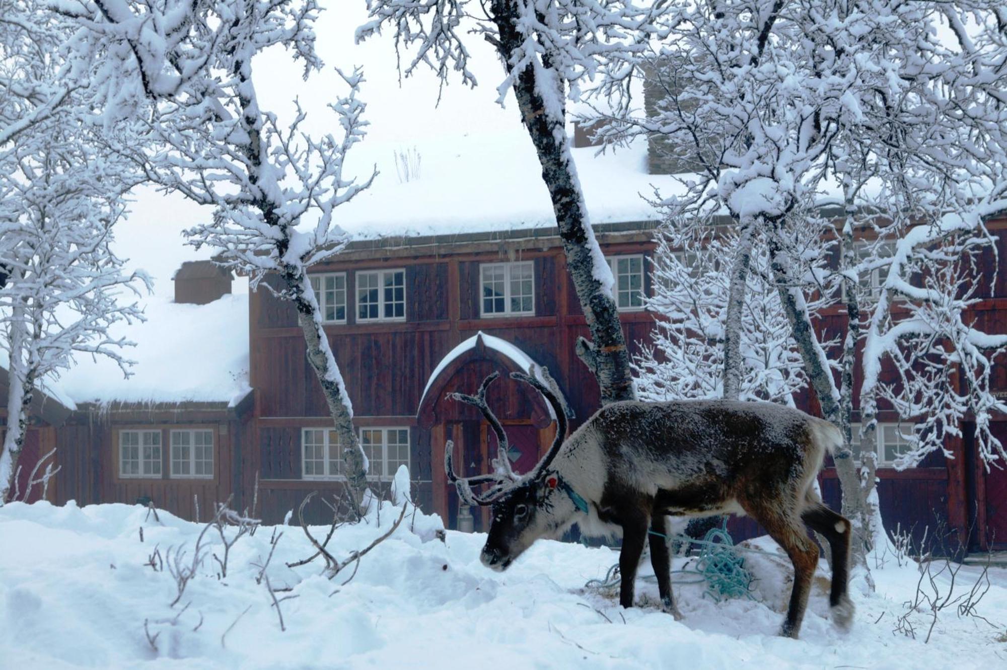 Harahorn Fjellgard Hotel Grondalen  Bagian luar foto