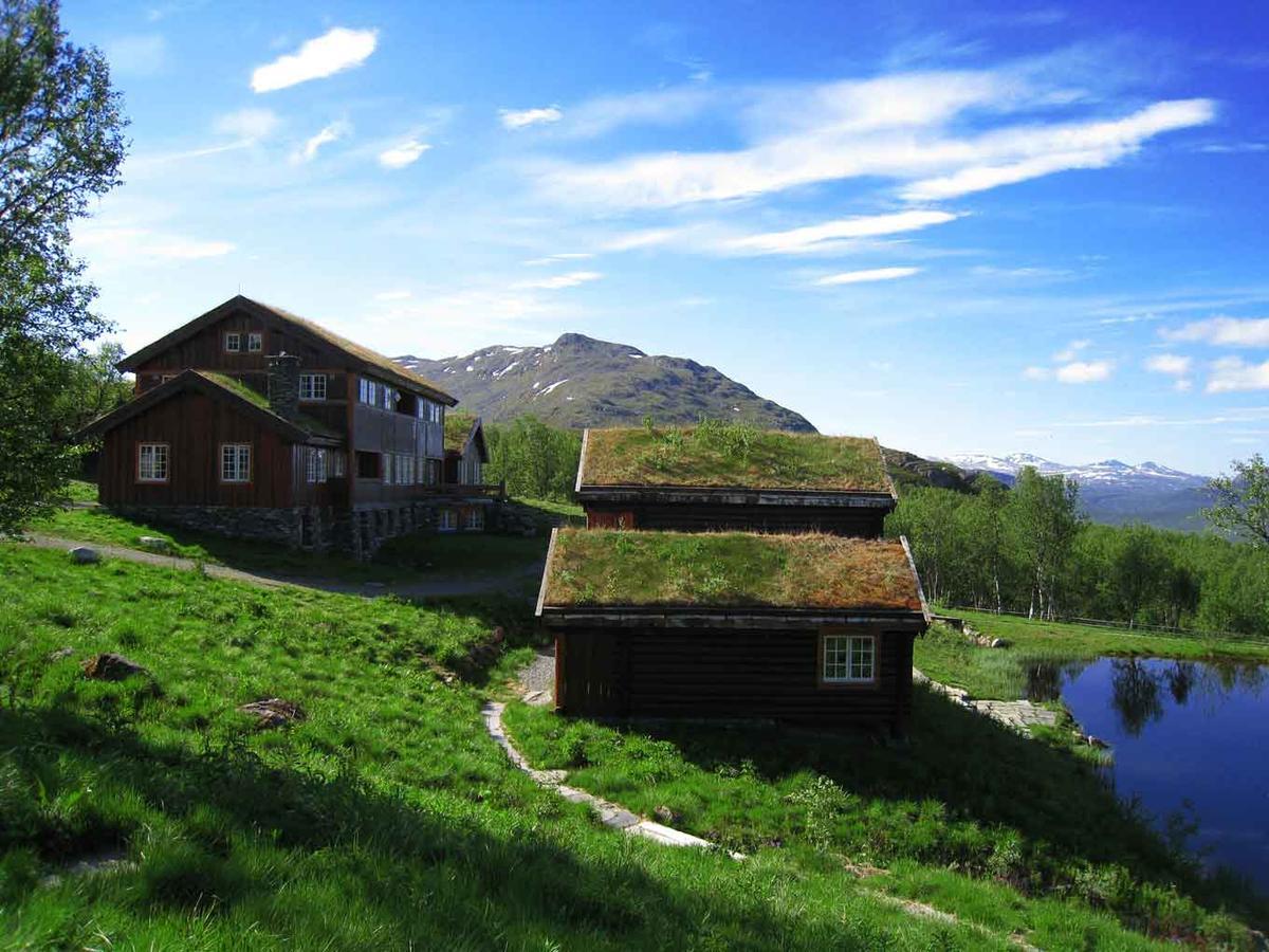 Harahorn Fjellgard Hotel Grondalen  Bagian luar foto